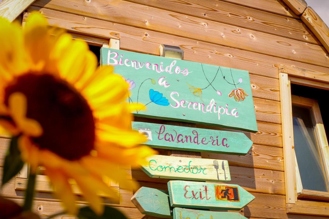 Macaronesia Love Spa, Sauna Y Piscina Buzanada 외부 사진