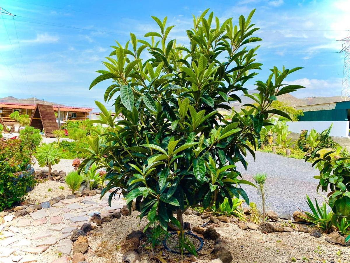Macaronesia Love Spa, Sauna Y Piscina Buzanada 외부 사진